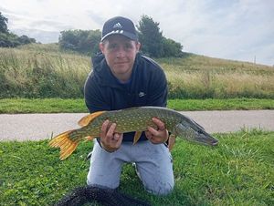 Northern Pike