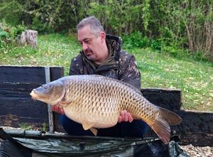 Mirror Carp