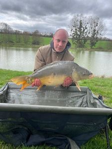 Mirror Carp