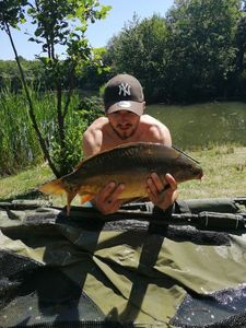 Mirror Carp