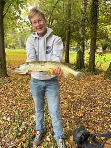Northern Pike