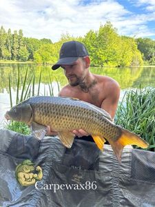 Leather Carp