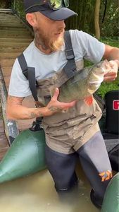European Perch