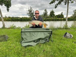 Common Carp