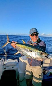 Yellowfin Tuna
