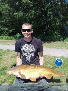 Common Carp