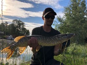 Northern Pike caught by Théophile Bruntz