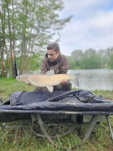 Grass Carp