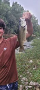 Largemouth Bass