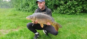 Mirror Carp