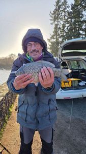 Crucian Carp
