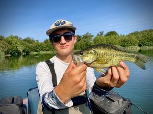 Largemouth Bass