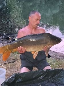 Leather Carp