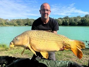 Common Carp