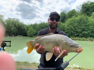 Common Carp