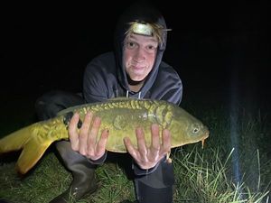 Mirror Carp