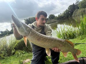 Northern Pike