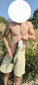 Largemouth Bass