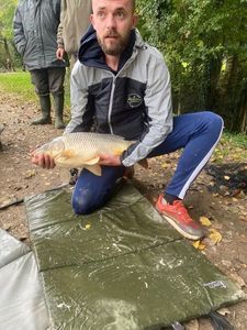 Mirror Carp