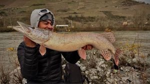 Northern Pike