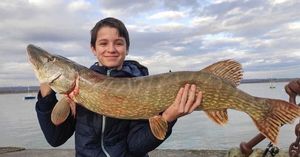 Northern Pike