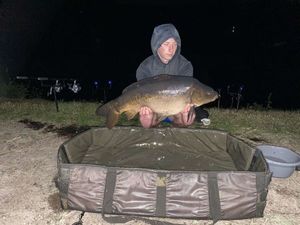 Mirror Carp
