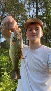 Largemouth Bass