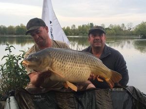 Mirror Carp