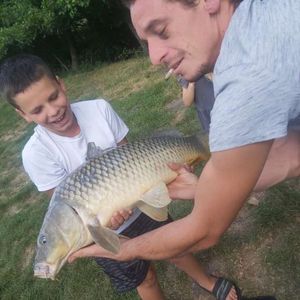 Common Carp
