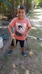 Cutthroat Trout
