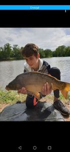 Mirror Carp