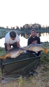 Mirror Carp