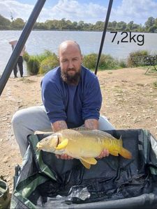 Common Carp