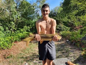 Barbel