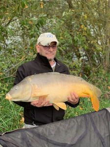 Mirror Carp