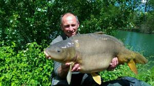 Mirror Carp