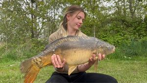 Mirror Carp
