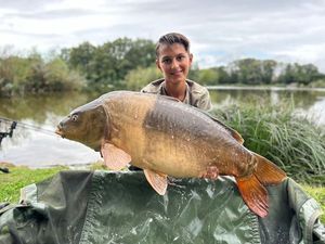 Mirror Carp