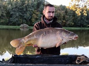 Mirror Carp