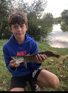 Northern Pike