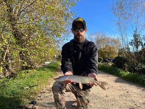 Northern Pike