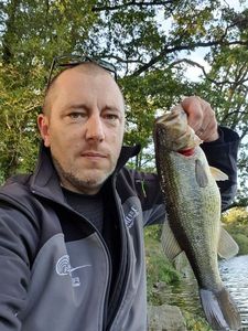 Largemouth Bass