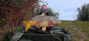 Mirror Carp