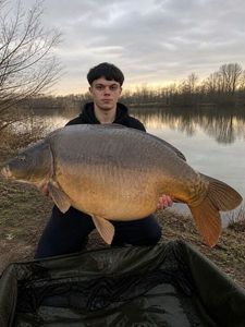 Mirror Carp