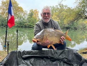 Common Carp