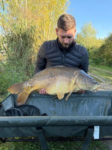 Leather Carp