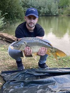 Mirror Carp