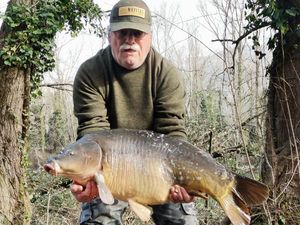 Mirror Carp