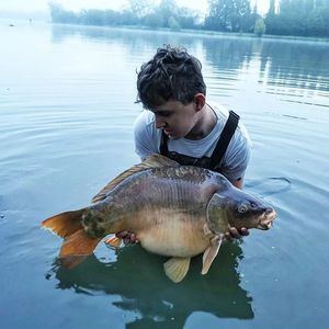Mirror Carp