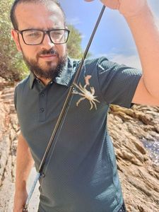 Warty Crab